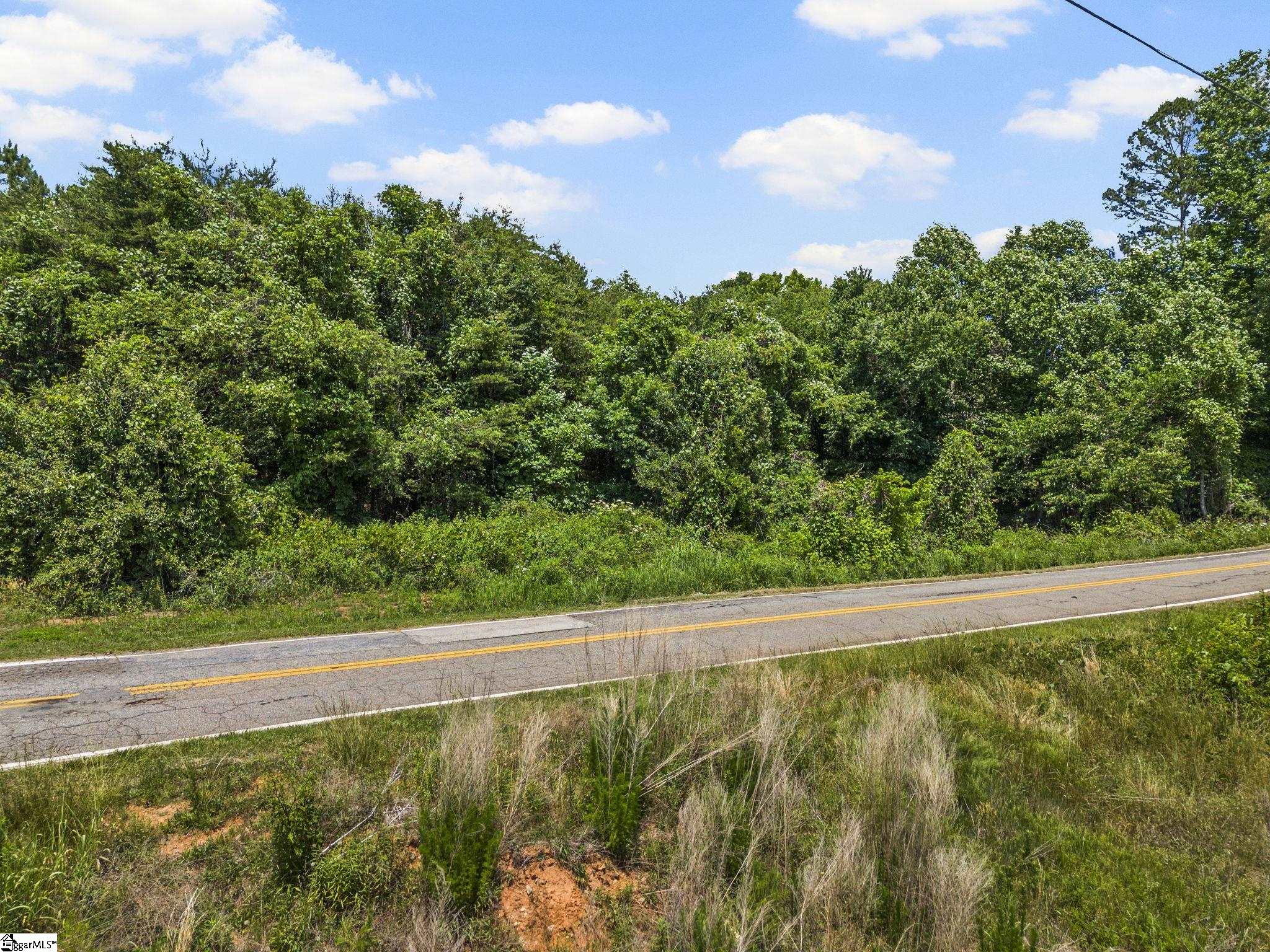 136 Prison Camp Road Campobello, SC 29322 - Photo 3 of 17