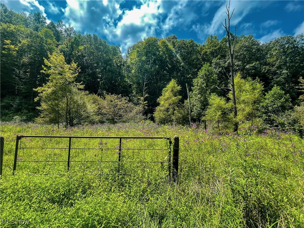 226 Banner Hill Road Spencer, WV 25276 - Photo 13 of 35