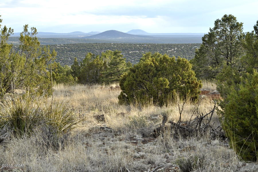 Lot 27 Idlewild Ranch Concho, AZ 85924 - Photo 1 of 16