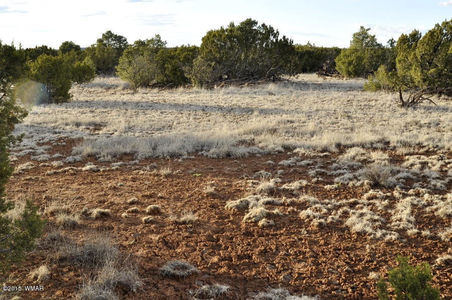 Lot 27 Idlewild Ranch Concho, AZ 85924 - Photo 12 of 16