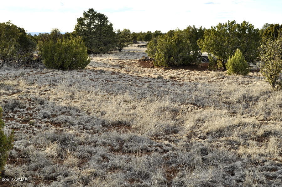 Lot 27 Idlewild Ranch Concho, AZ 85924 - Photo 14 of 16