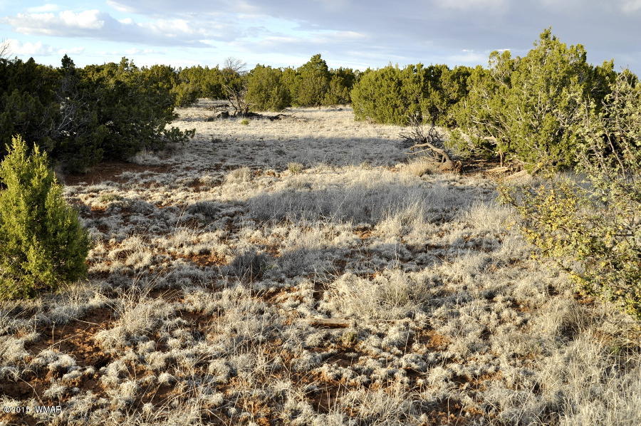 Lot 27 Idlewild Ranch Concho, AZ 85924 - Photo 15 of 16