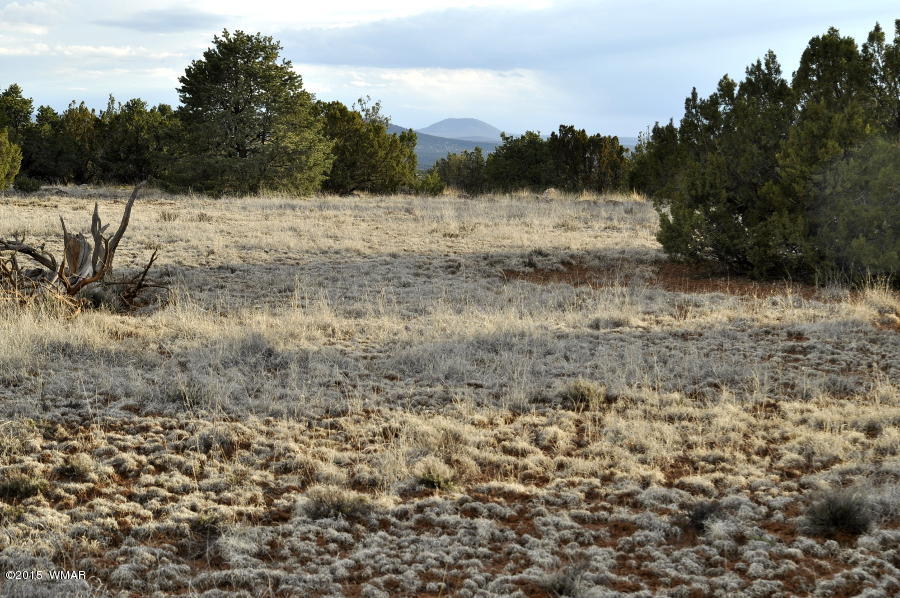 Lot 27 Idlewild Ranch Concho, AZ 85924 - Photo 16 of 16