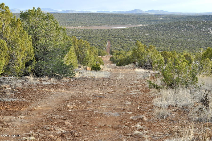 Lot 27 Idlewild Ranch Concho, AZ 85924 - Photo 2 of 16