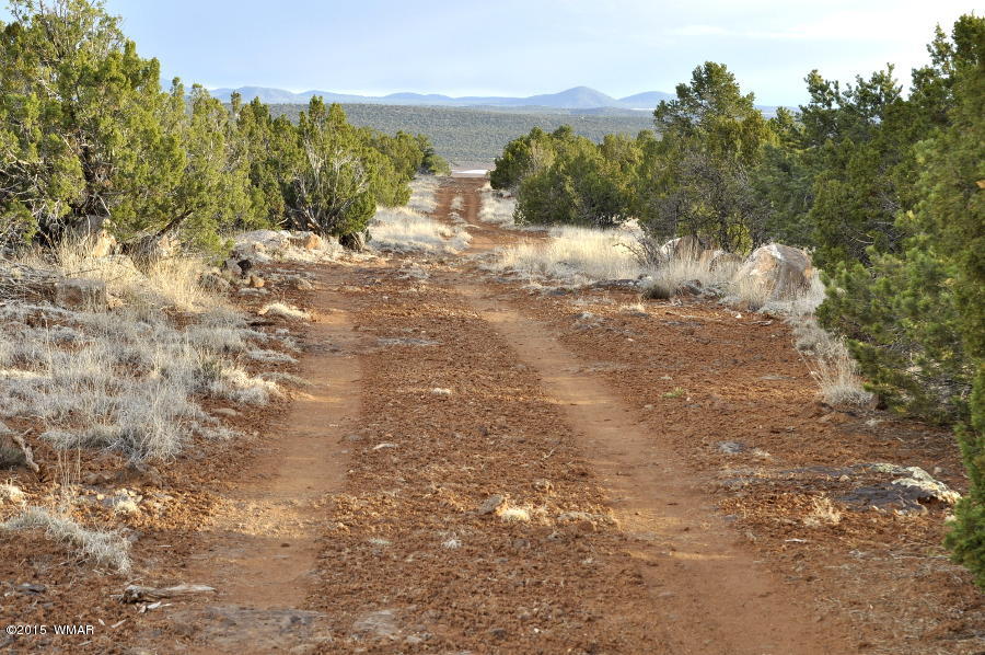 Lot 27 Idlewild Ranch Concho, AZ 85924 - Photo 3 of 16