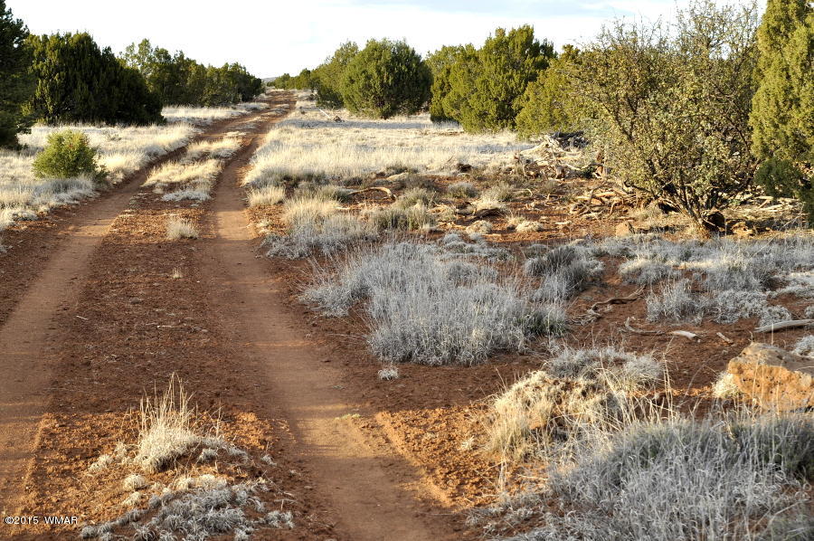 Lot 27 Idlewild Ranch Concho, AZ 85924 - Photo 4 of 16