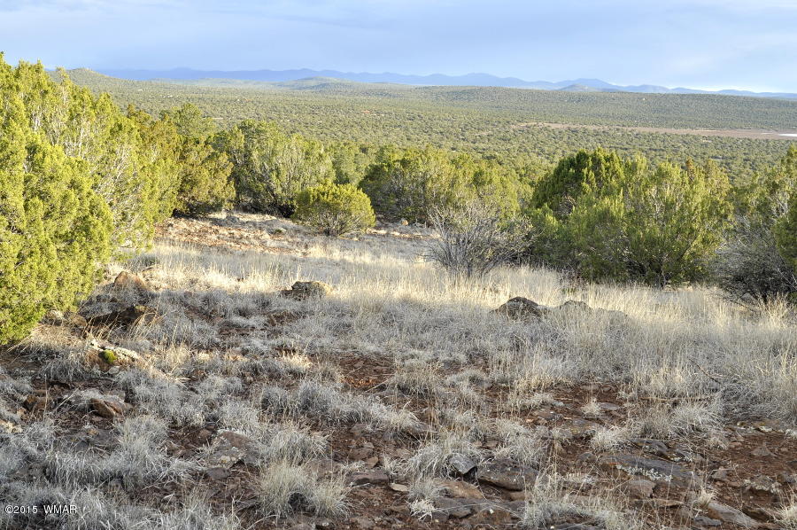 Lot 27 Idlewild Ranch Concho, AZ 85924 - Photo 6 of 16