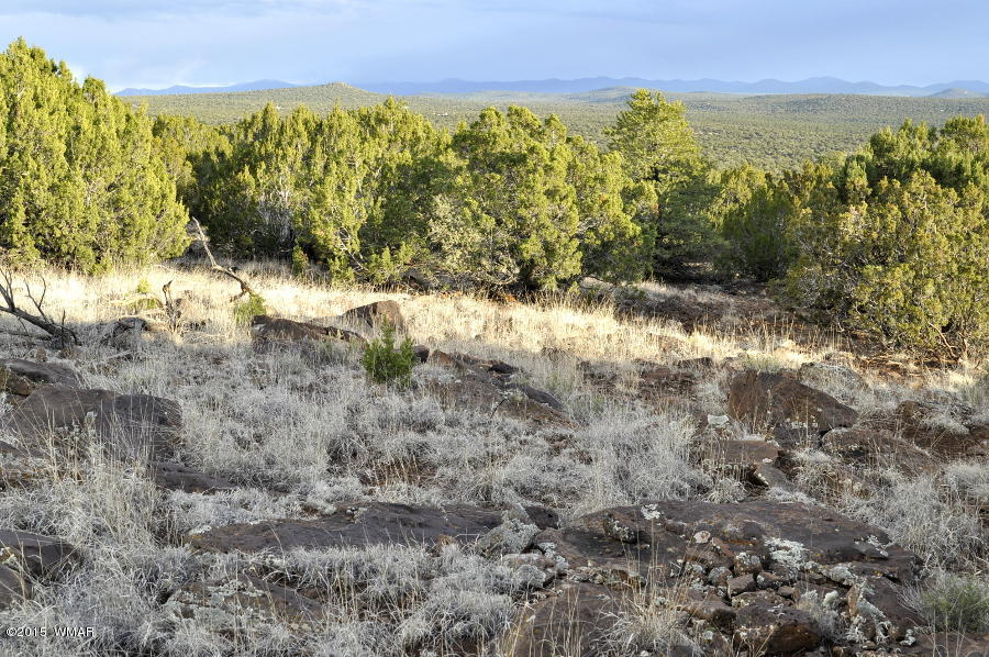Lot 27 Idlewild Ranch Concho, AZ 85924 - Photo 7 of 16