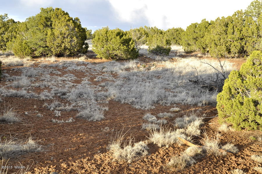 Lot 27 Idlewild Ranch Concho, AZ 85924 - Photo 8 of 16