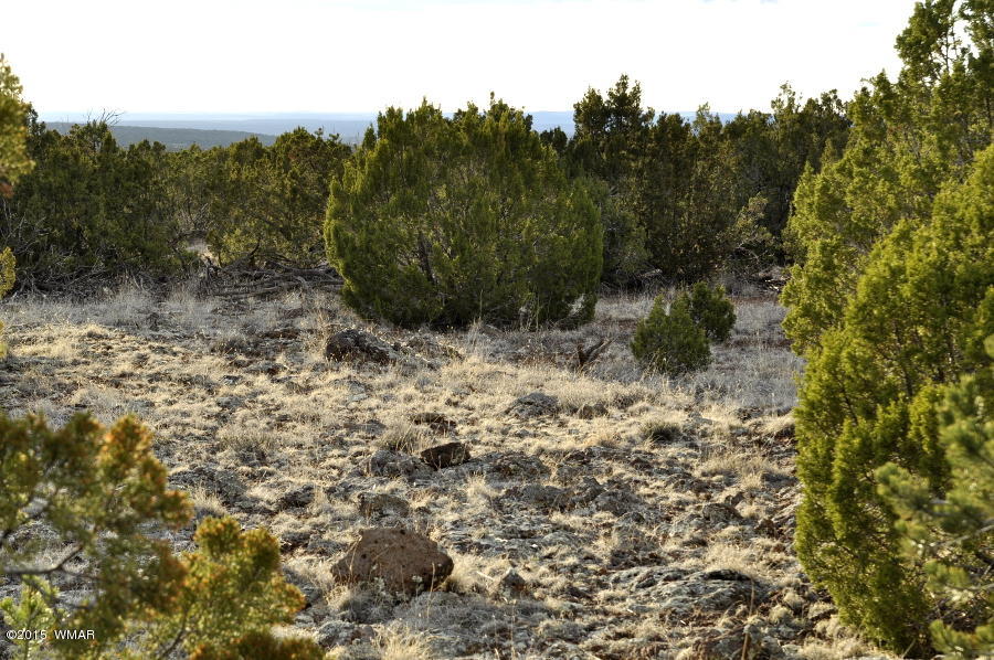 Lot 27 Idlewild Ranch Concho, AZ 85924 - Photo 9 of 16