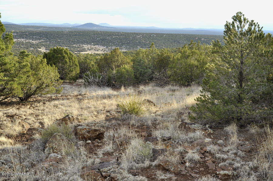 Lot 27 Idlewild Ranch Concho, AZ 85924 - Photo 10 of 16