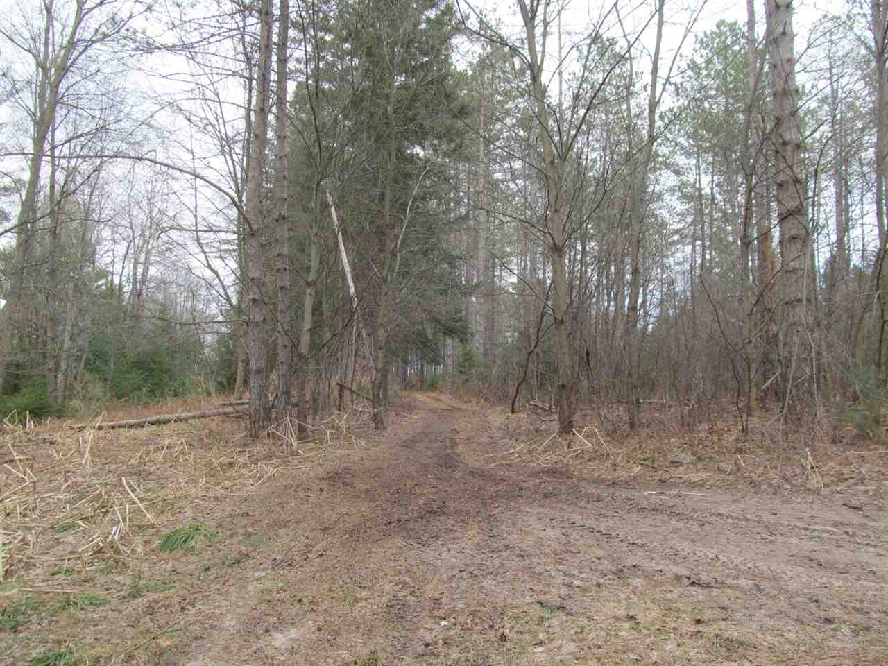 8451 East 18 1/2 Road Manton, MI 49663 - Photo 41 of 46 1885343-40.JPG