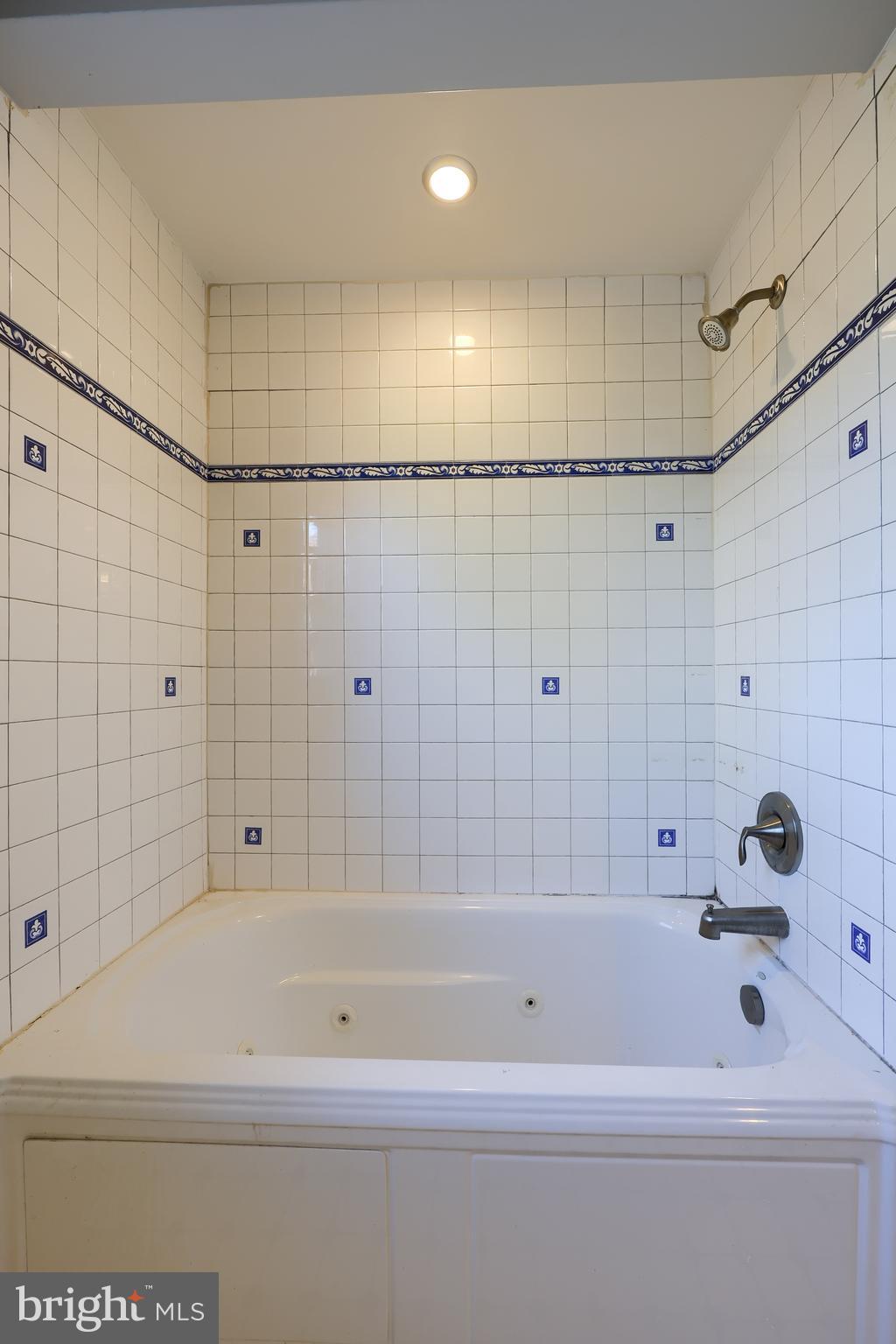 351 East Lexington Road Lititz, PA 17543 - Photo 22 of 36 a bathroom with a bathtub and a shower