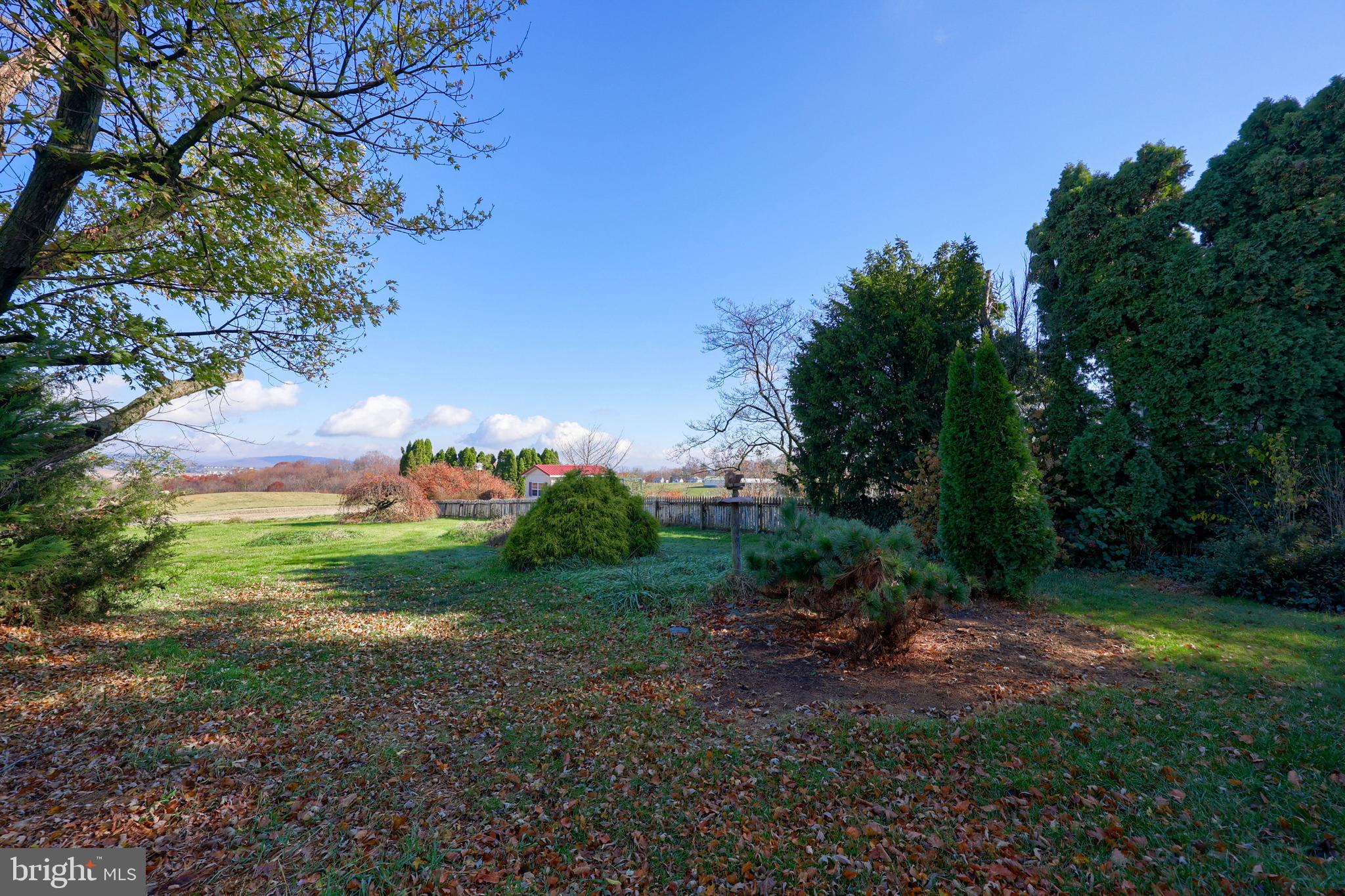 351 East Lexington Road Lititz, PA 17543 - Photo 30 of 36 a view of a yard with a tree