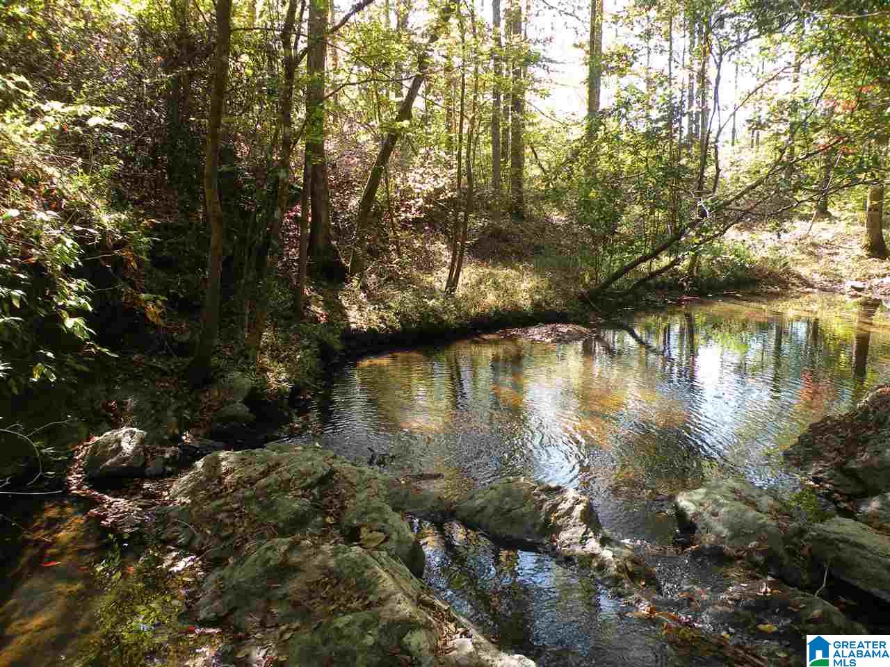 163 Thurman Road Talladega, AL 35160 - Photo 6 of 22