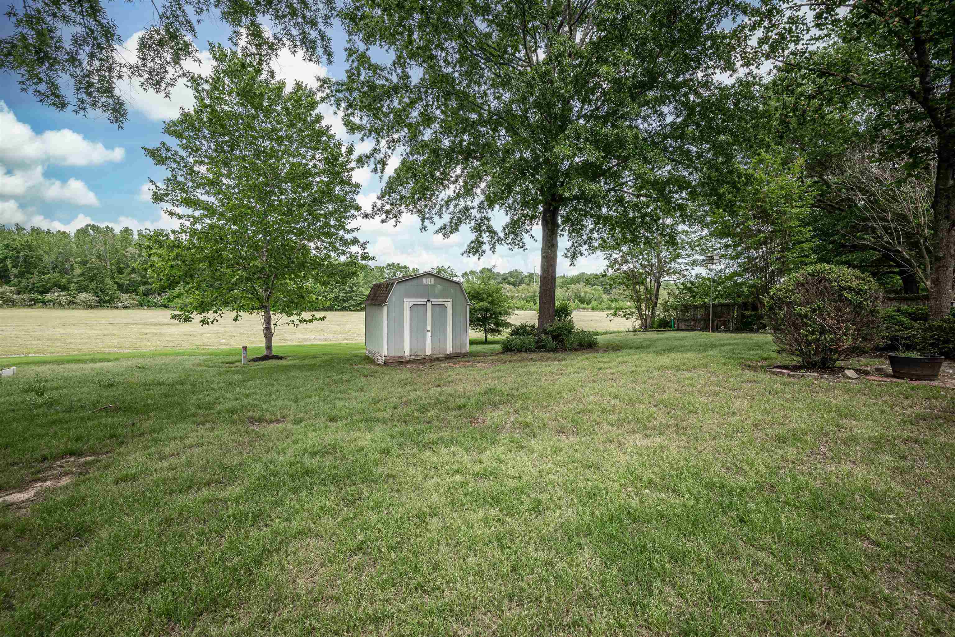 752 Gable Lane Collierville, TN 38017 - Photo 32 of 40 a view of a park with large trees