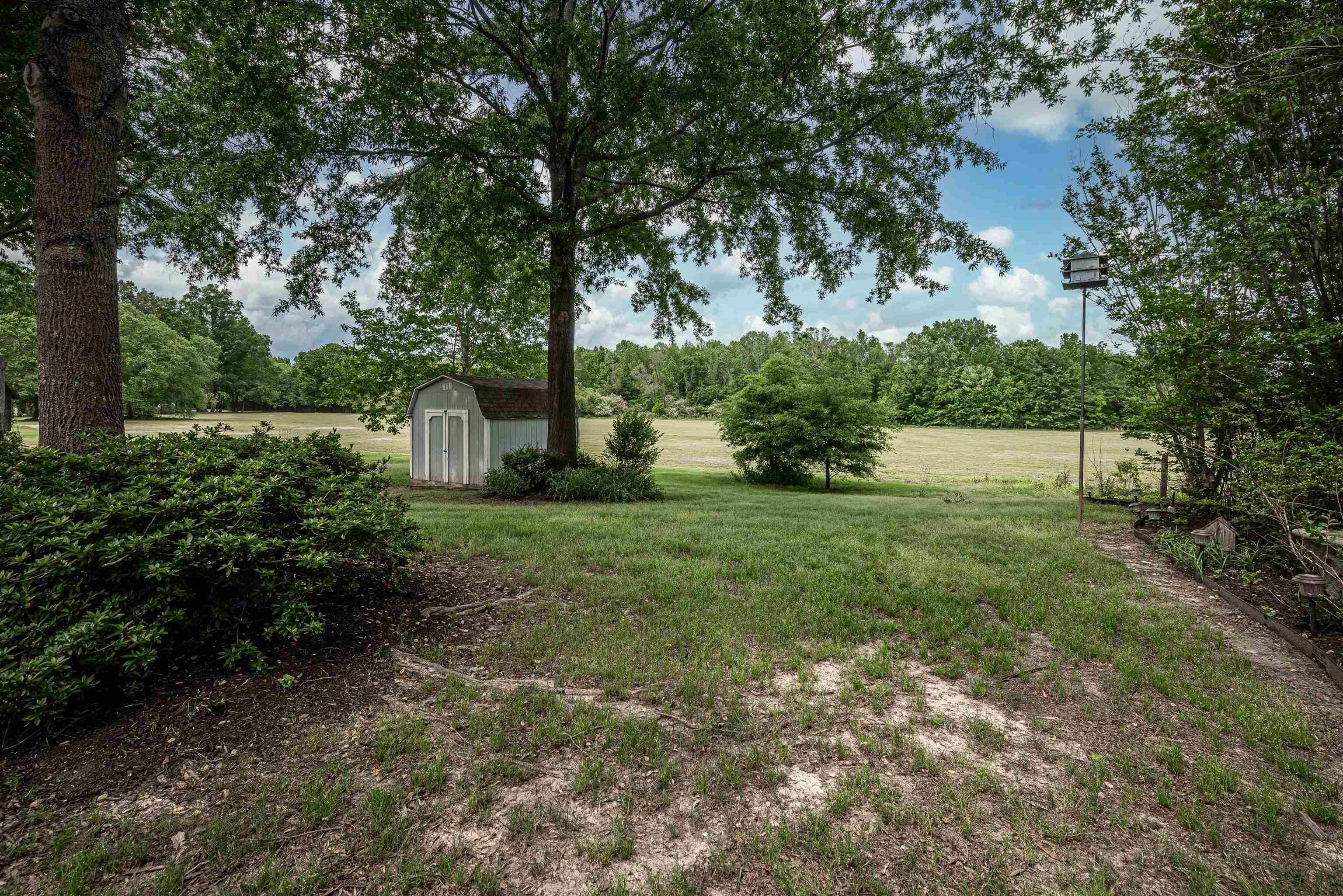 752 Gable Lane Collierville, TN 38017 - Photo 33 of 40 a view of backyard with green space