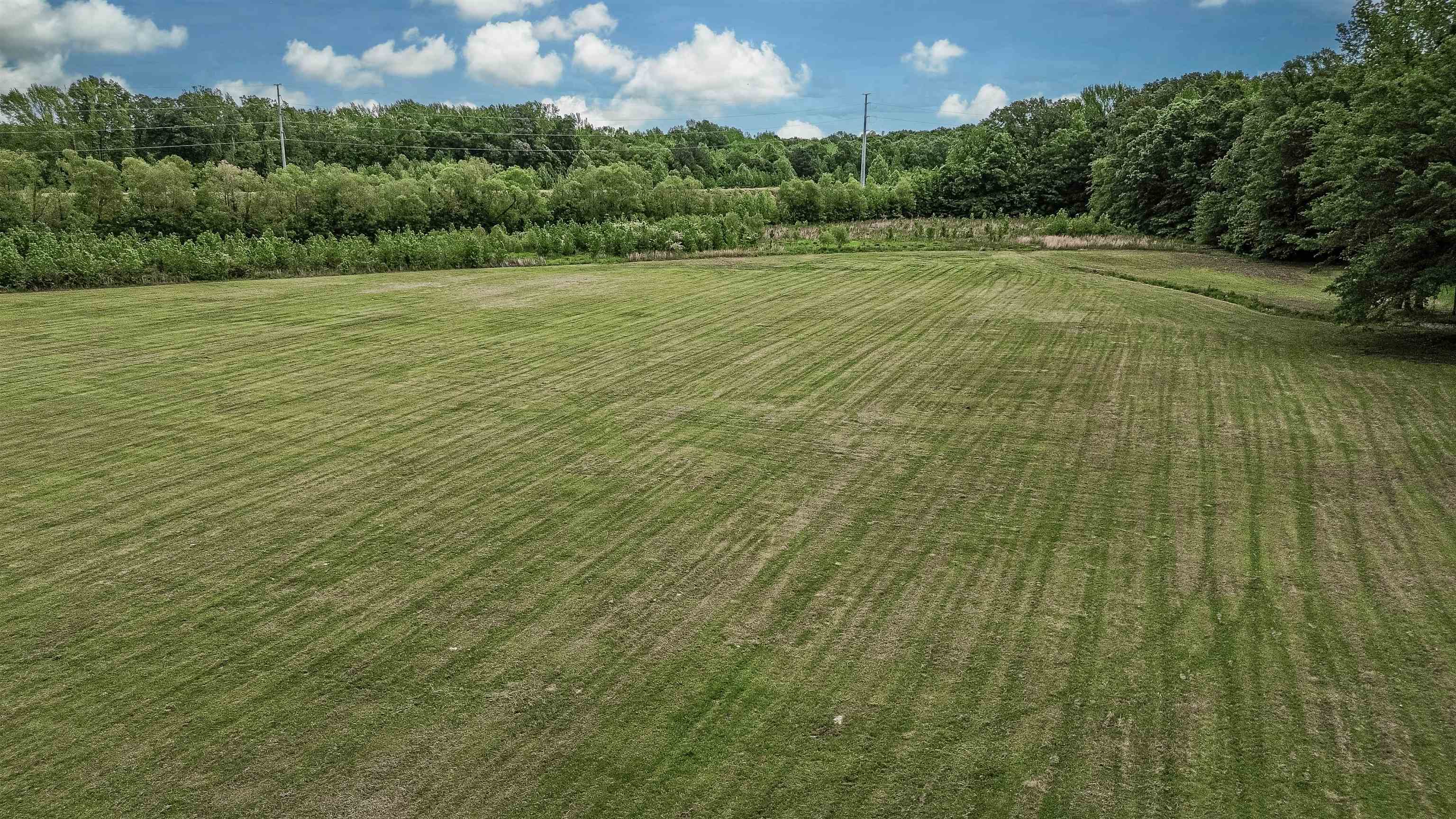 752 Gable Lane Collierville, TN 38017 - Photo 36 of 40 a view of a field with an trees
