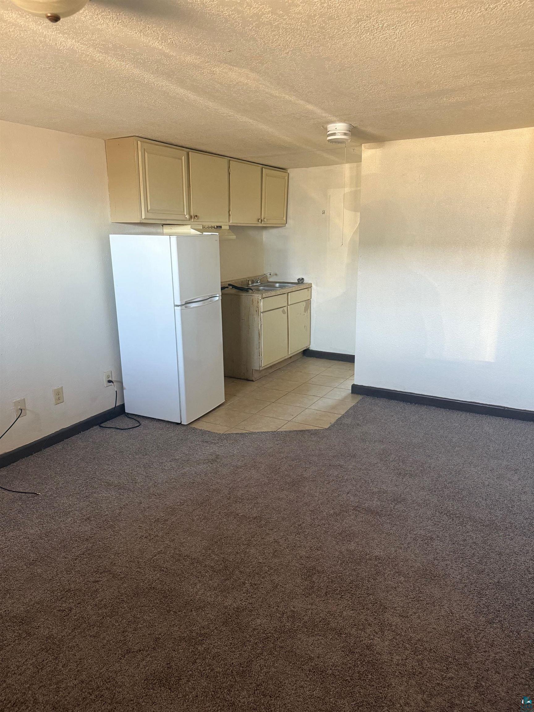 801 East 41st Street Hibbing, MN 55746 - Photo 5 of 5 Kitchen featuring freestanding refrigerator, a textured ceiling, light colored carpet, and baseboards