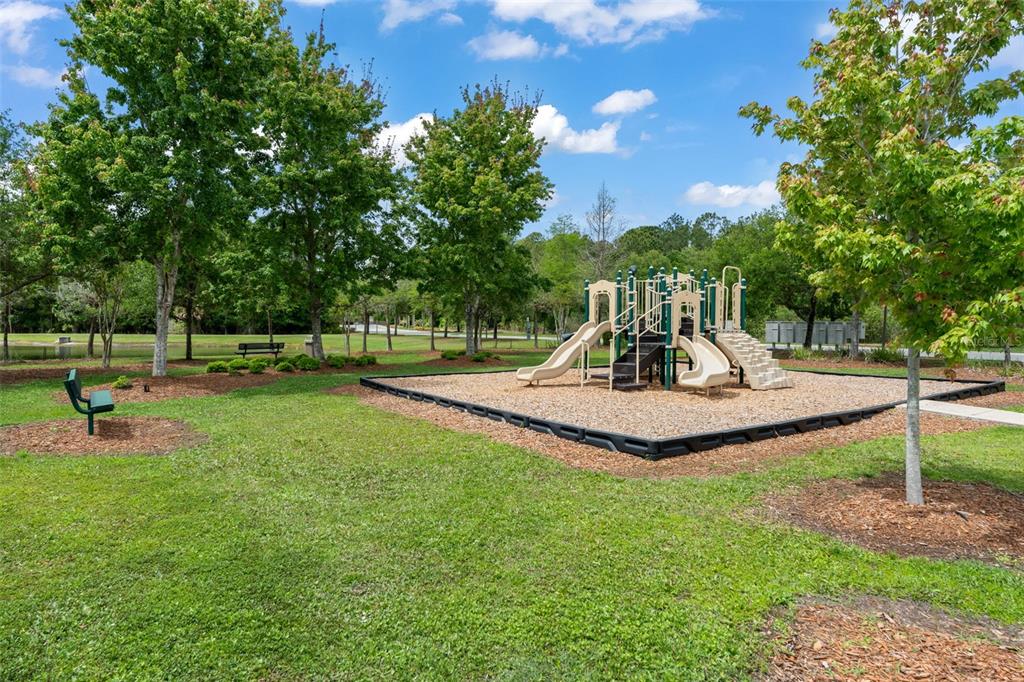 10507 Cabbage Tree Loop Orlando, FL 32825 - Photo 49 of 50