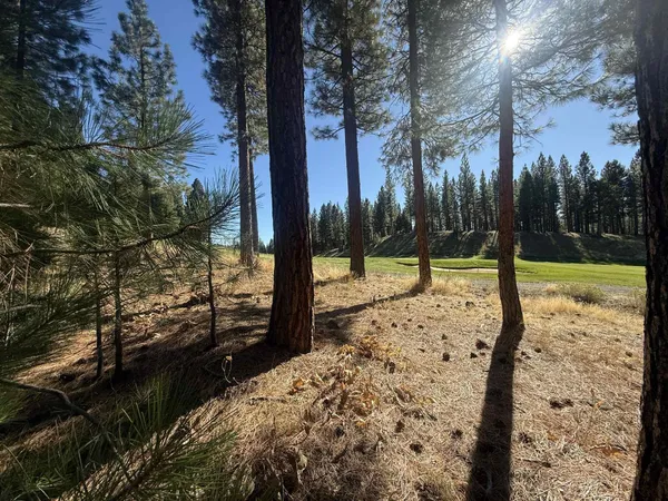 $20,000 | 211 Bird Of Prey Lane, Portola, CA 96122