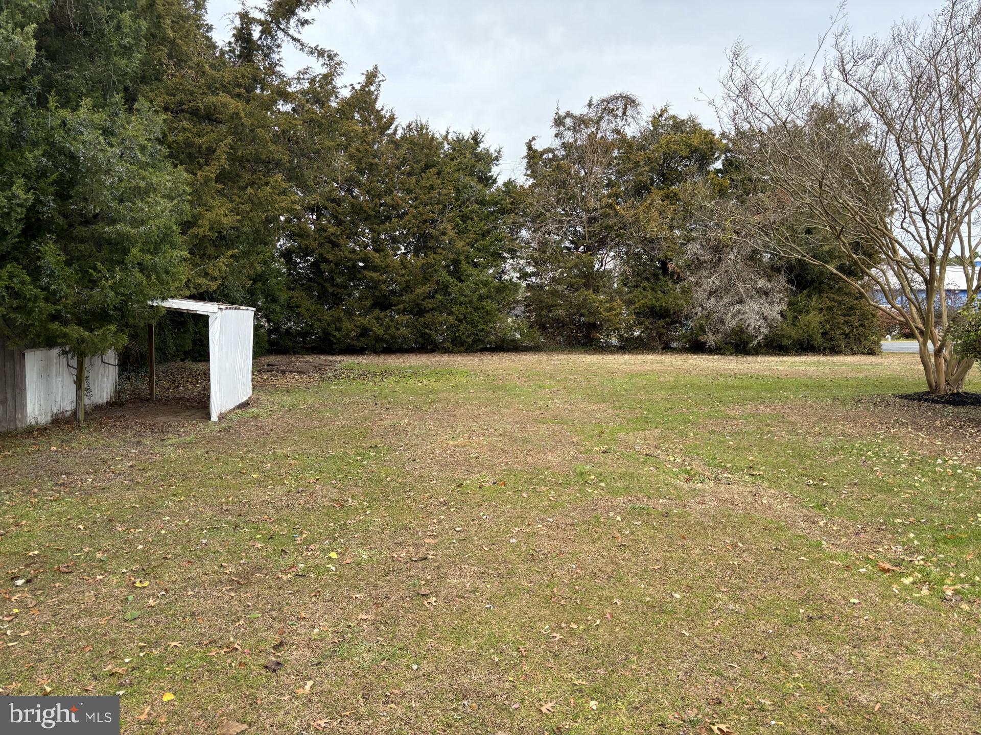 100 Pine Drive Grasonville, MD 21638 - Photo 15 of 17