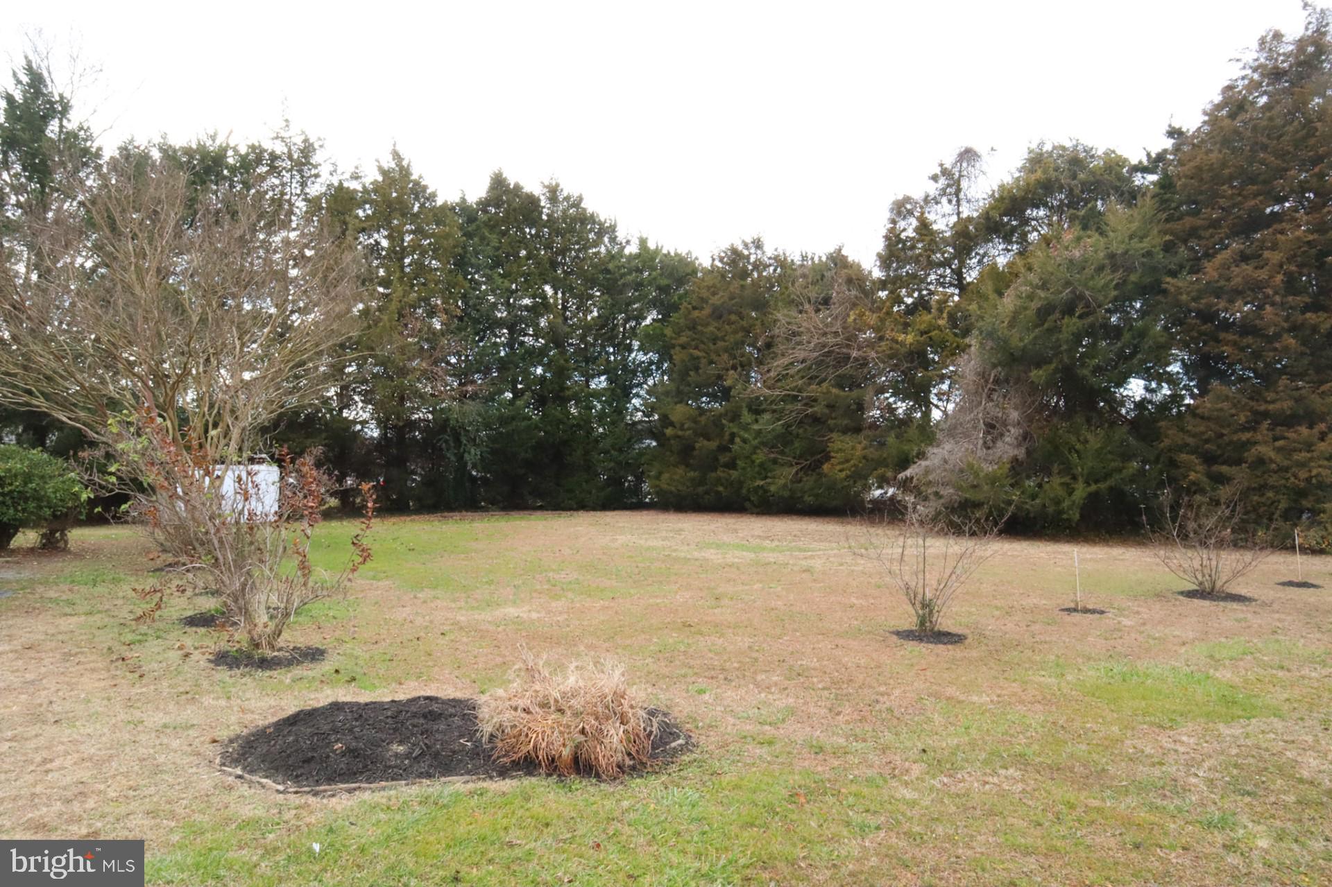 100 Pine Drive Grasonville, MD 21638 - Photo 16 of 17