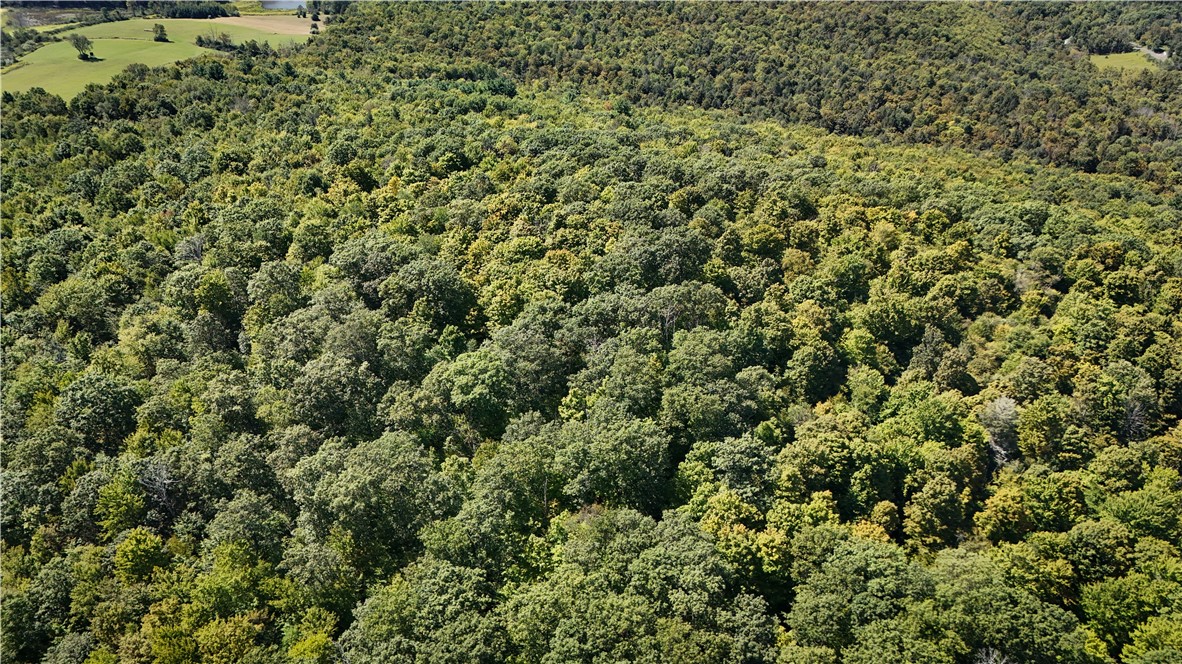 0 Cornell Hollow Road Endicott, NY 13760 - Photo 18 of 30 Gallery Image 18