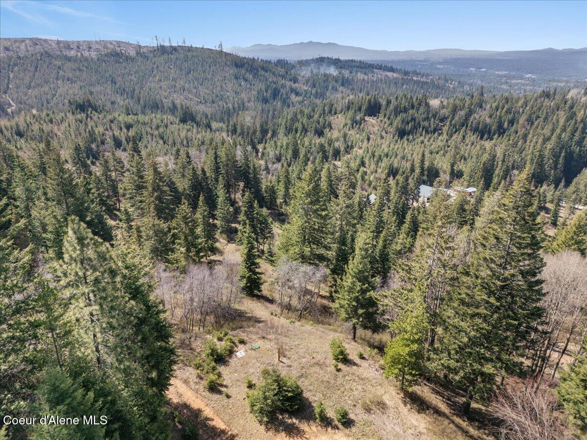 24102 North Derting Road Hayden, ID 83835 - Photo 89 of 104 87-24102 N Derting Rd_RedHogMedia