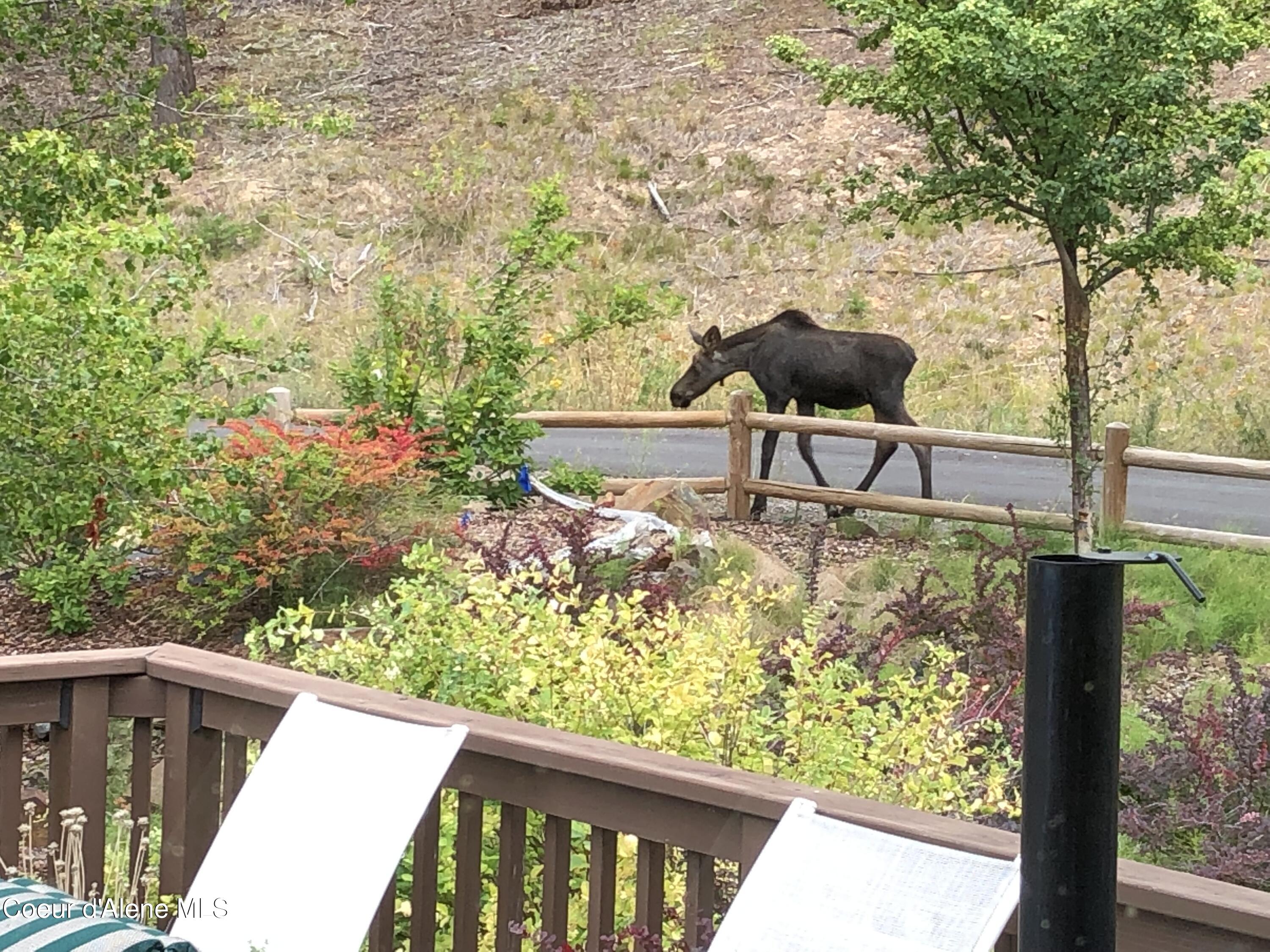 24102 North Derting Road Hayden, ID 83835 - Photo 97 of 104 IMG_0977