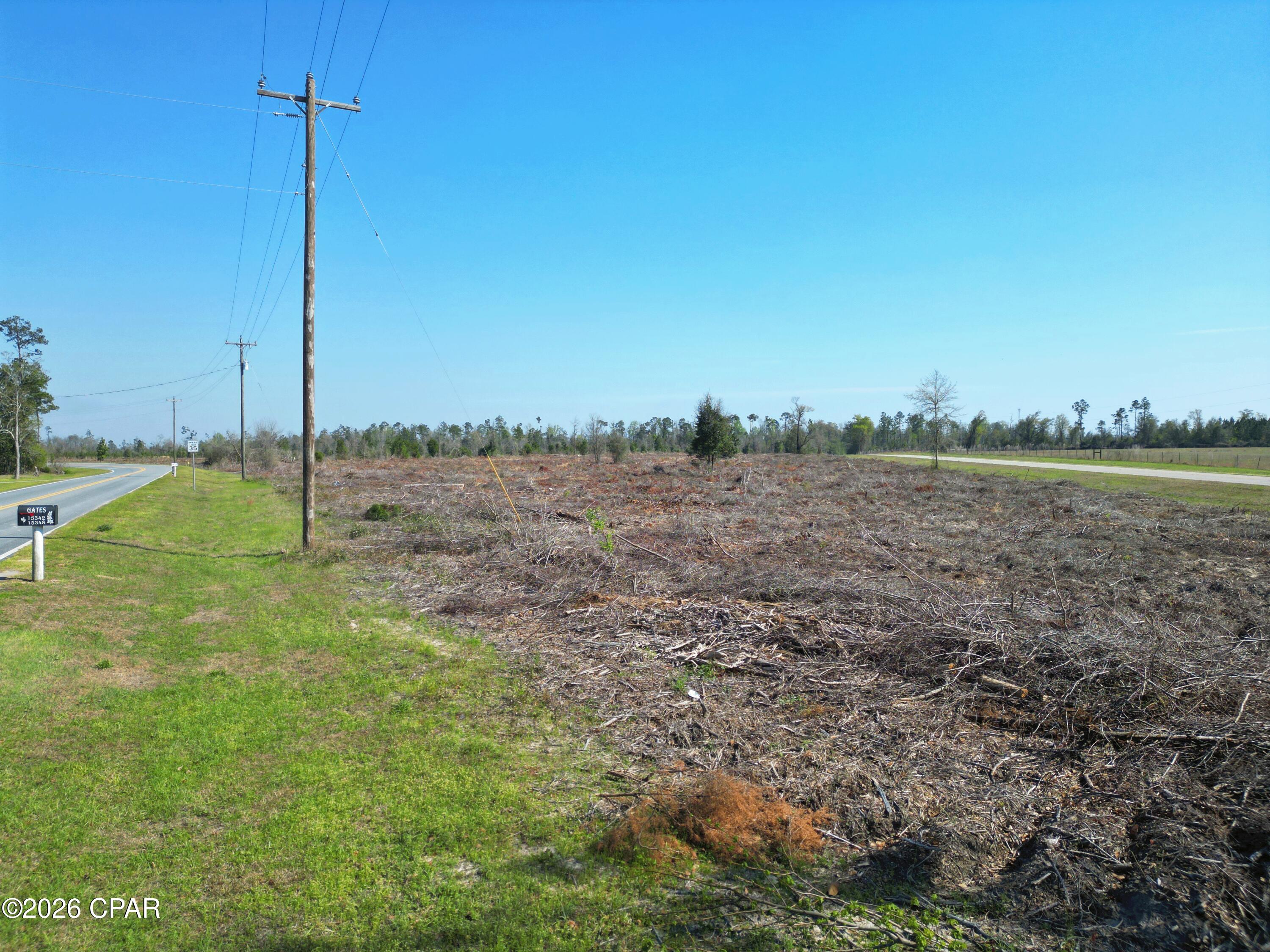 Tbd Carlos Peavy Road Blountstown, FL 32424 - Photo 4 of 8