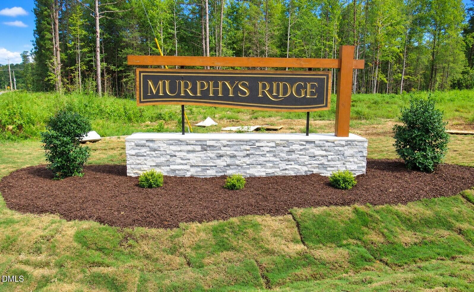 4447 Poppy Mallow Lane Rougemont, NC 27572 - Photo 3 of 7 Entrance