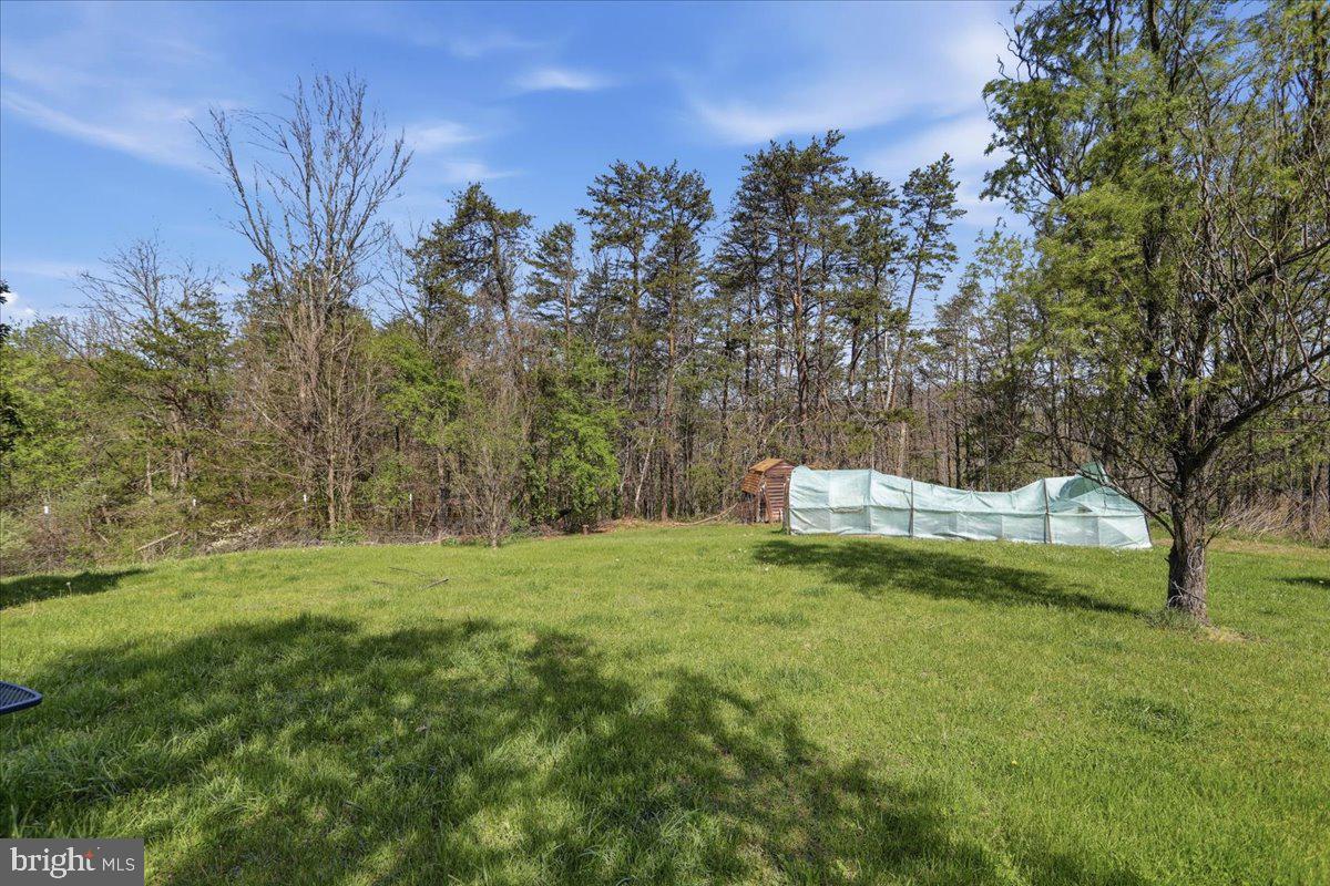 1264 Tearcoat Road Augusta, WV 26704 - Photo 36 of 43