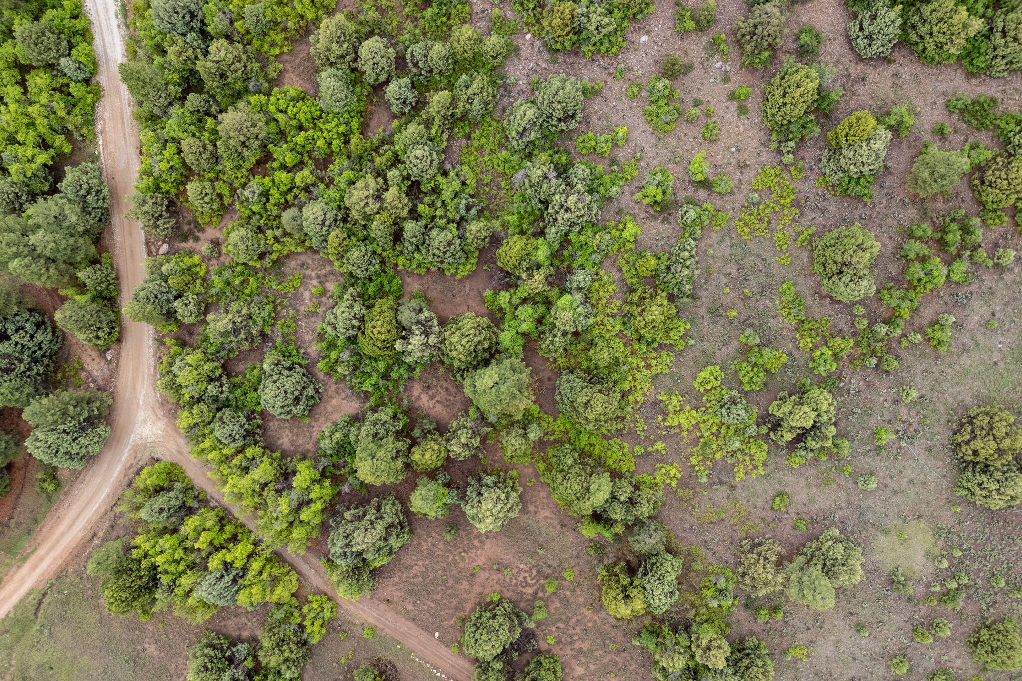 2657 East Oak Tree Trail, Unit 22 Springdale, UT 84767 - Photo 4 of 15 4-web-or-mls-Oak Tree Lot - www.aspencre