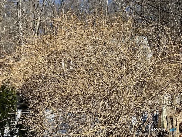 a bathroom with a shower curtain