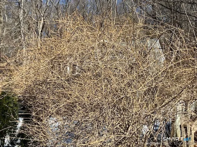 $46,900 | 1 Ruth Parsons Drive, Waterbury, CT 06708