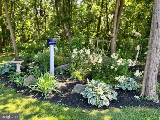 2316 Theodore Road North East, MD 21901 - Photo 62 of 64 Beautiful landscaping!!