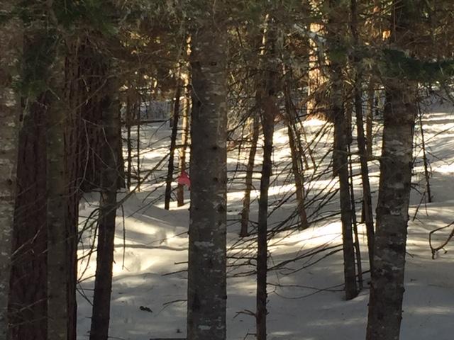 Tbd Hunter Hill Road Stratton, ME 04982 - Photo 3 of 5 pic 6
