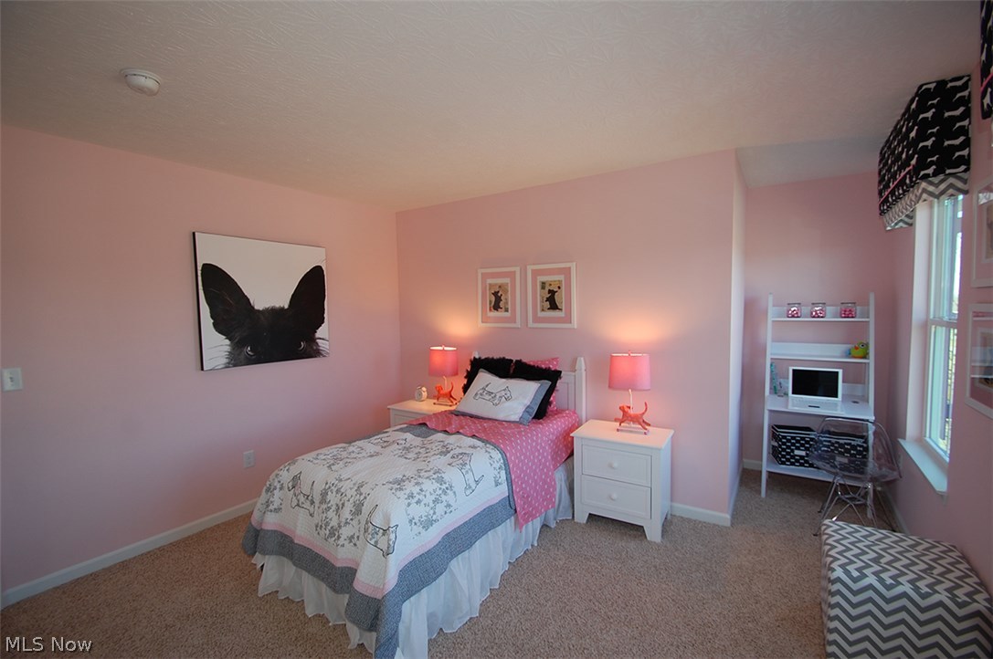 107 Harvest Ridge Way North Ridgeville, OH 44035 - Photo 13 of 22 Gallery Image 13