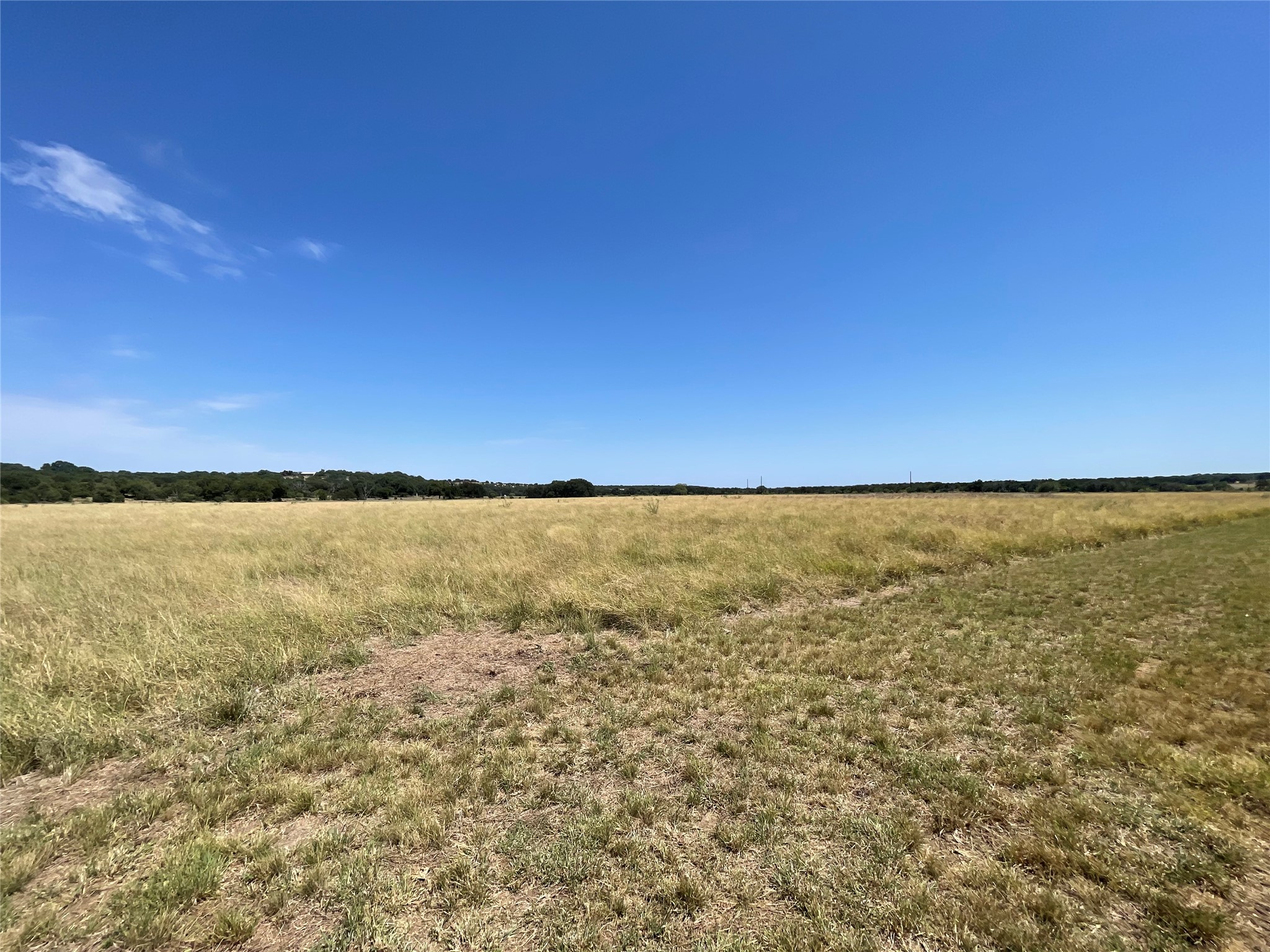 Lot 35 Cattle Trail Kempner, TX 76539 - Photo 7 of 20 An expansive cleared acreage offers level terrain surrounded by distant mature trees.
