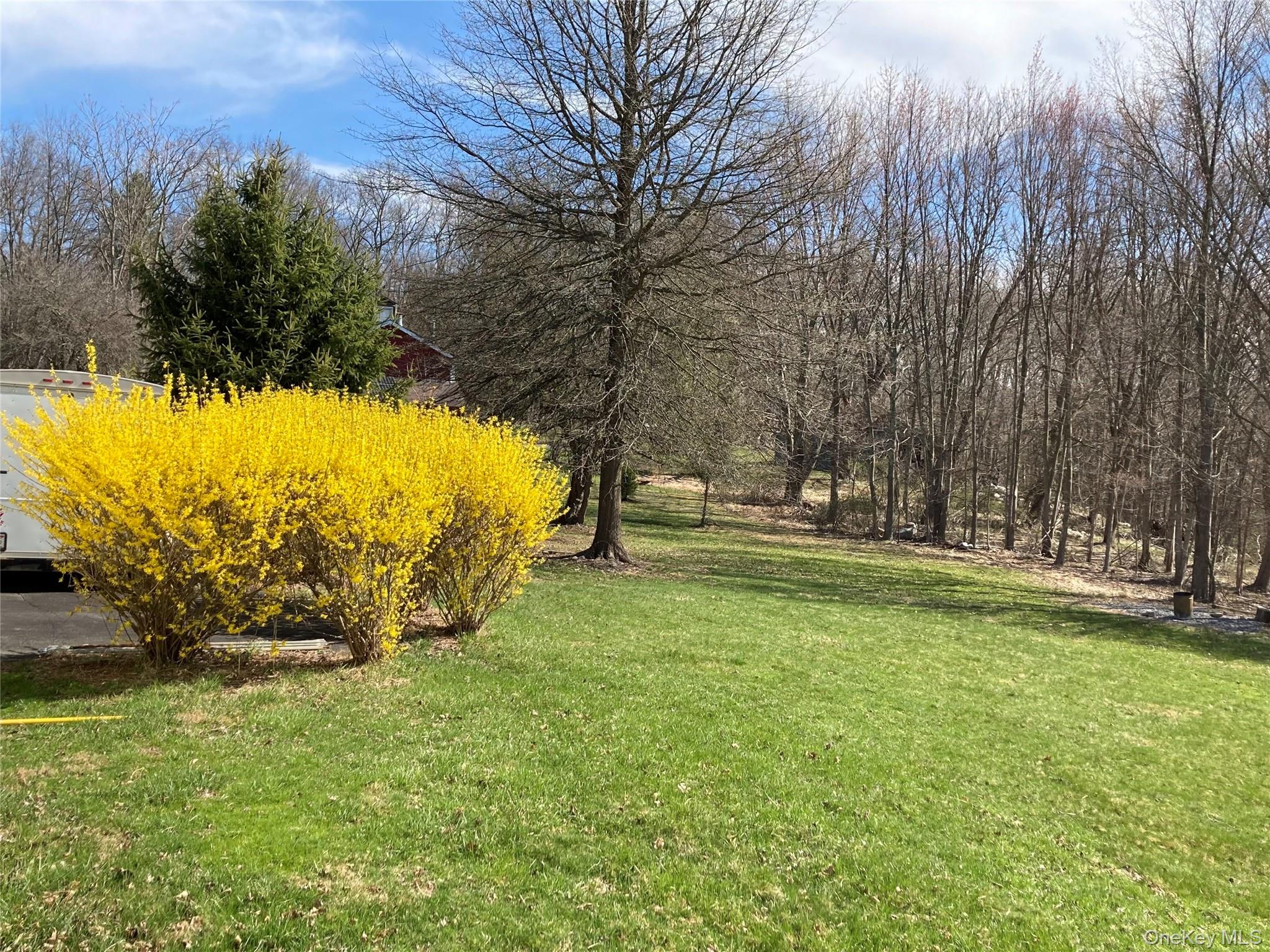 124 Rutsonville Road Wallkill, NY 12589 - Photo 29 of 33 Sprawling Backyard