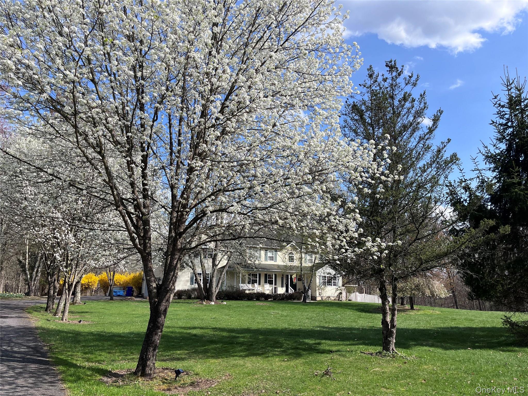 124 Rutsonville Road Wallkill, NY 12589 - Photo 31 of 33 Expansive front yard featuring mature flowering trees and a manicured lawn