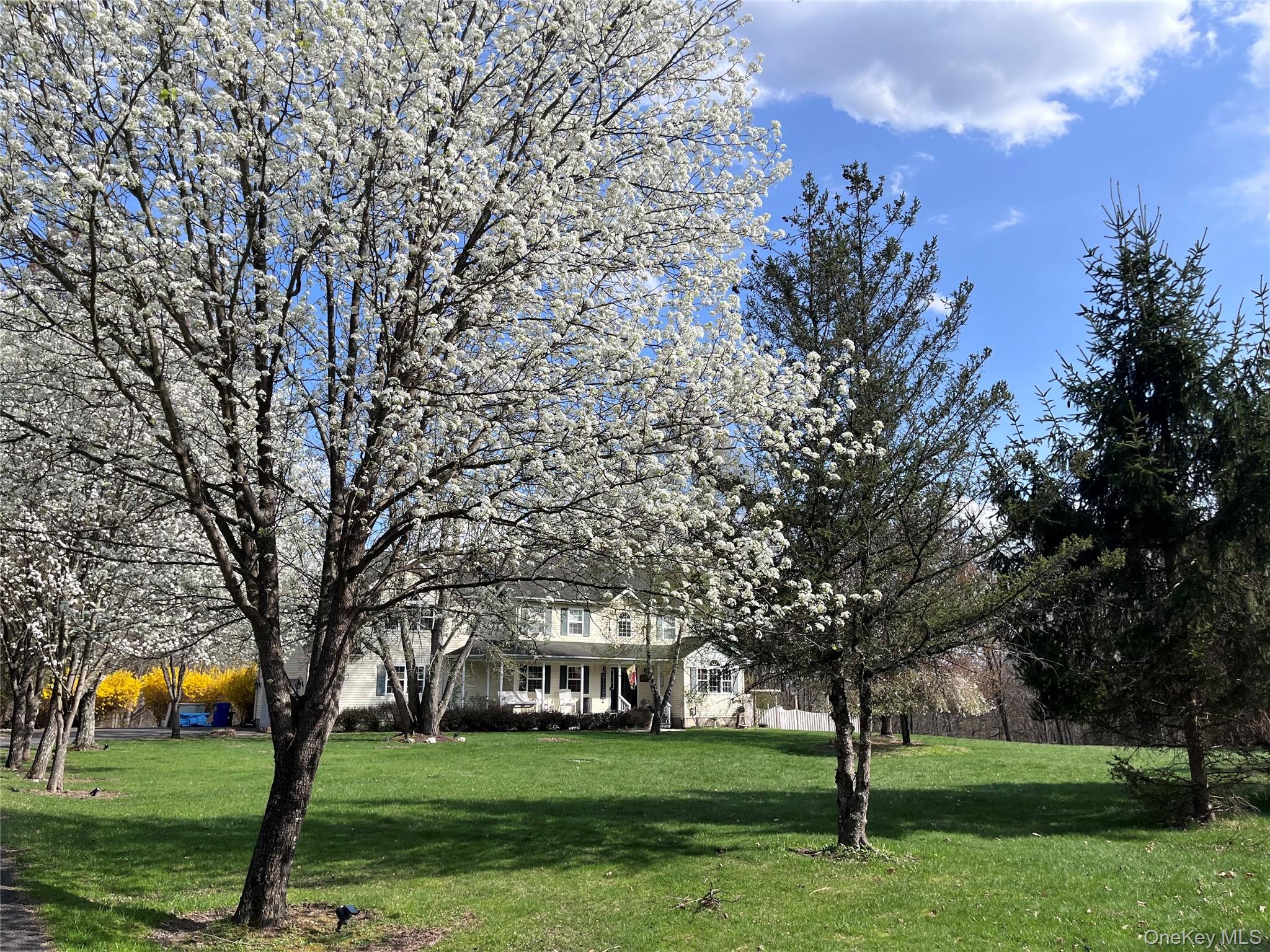 124 Rutsonville Road Wallkill, NY 12589 - Photo 4 of 33 Spacious front lawn with blooming trees and varied evergreen plantings
