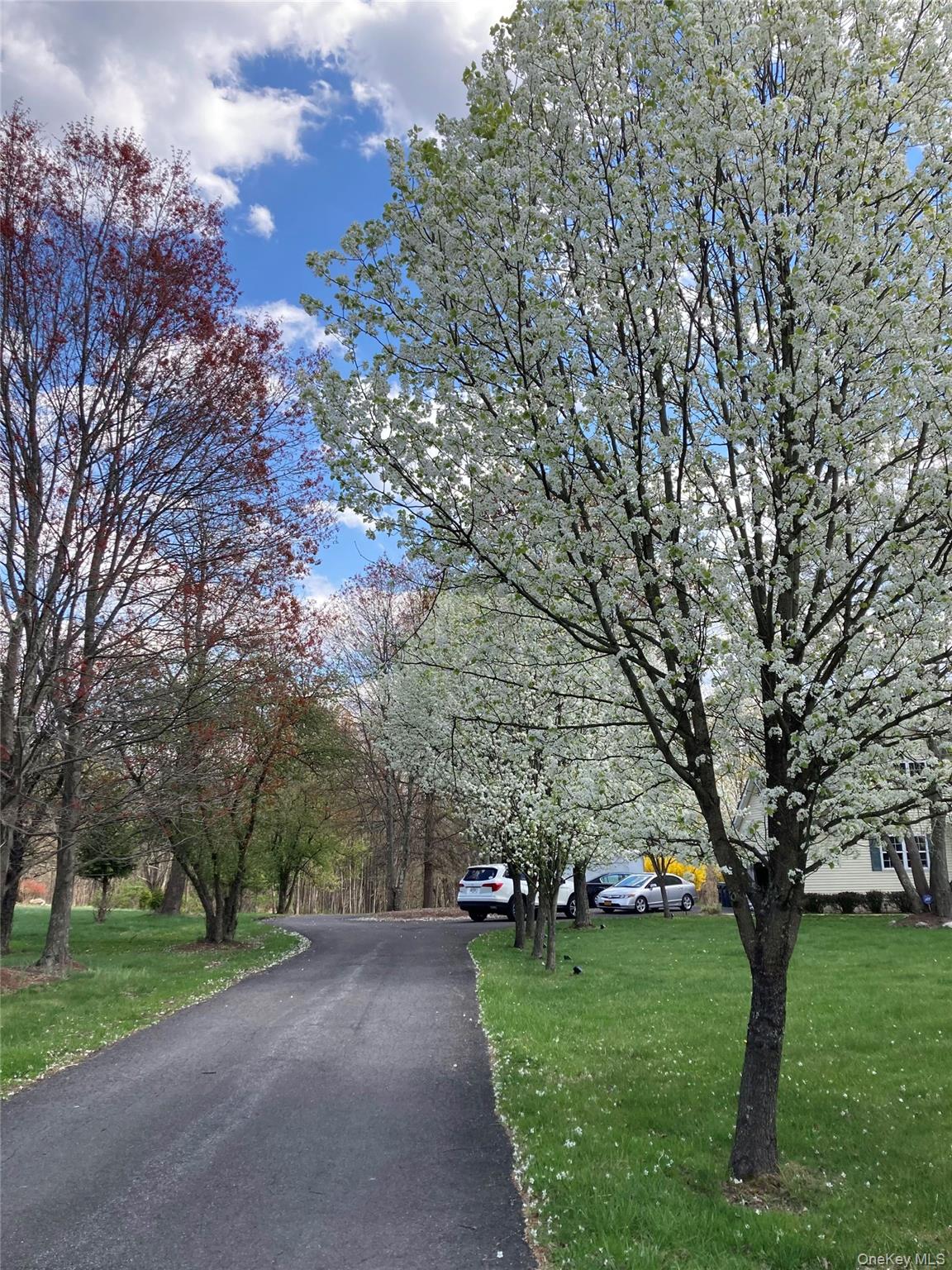 124 Rutsonville Road Wallkill, NY 12589 - Photo 7 of 33 Blooming Bradford Pear Trees Along the Driveway