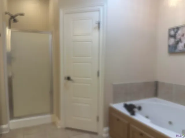 $295,000 | 9041 Willow Point Drive, Denham Springs, LA 70726