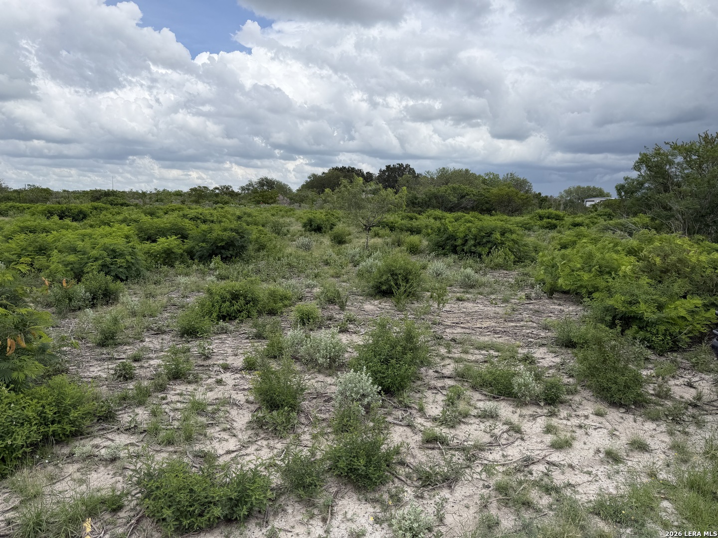 120 Quail Ridge Run Three Rivers, TX 78071 - Photo 4 of 5