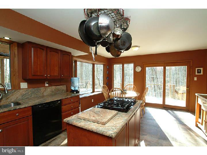 404 South Bank Road Landenberg, PA 19350 - Photo 5 of 22 Gallery Image 5