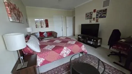 a bedroom with a bed tv and a desk