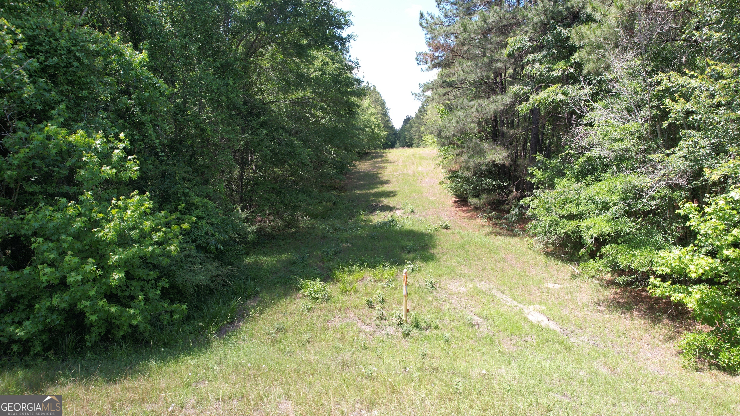 Rose Lot Dublin Eastman Road Dexter, GA 31019 - Photo 14 of 17