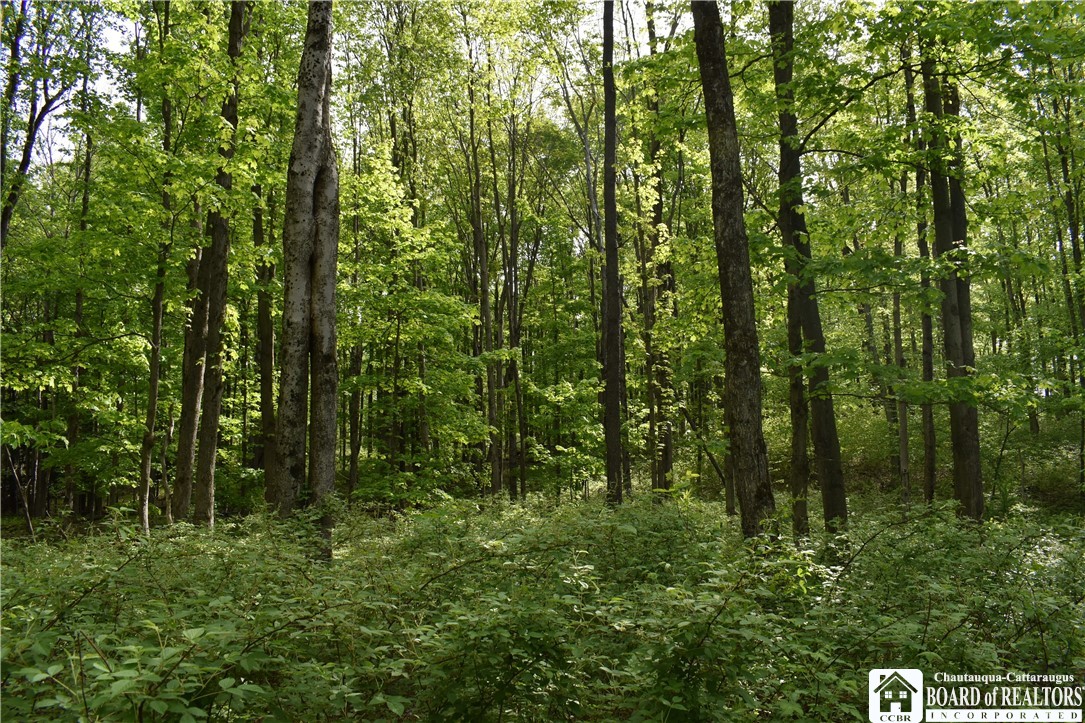 10133 Edward Corners Road Perrysburg, NY 14129 - Photo 9 of 28